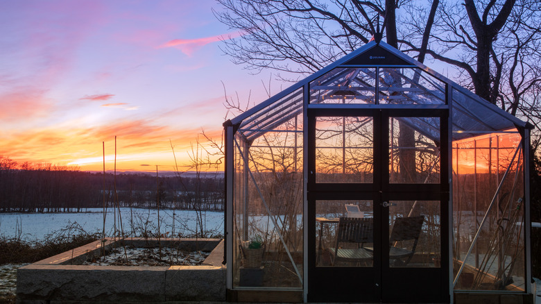 greenhouse with sunset 