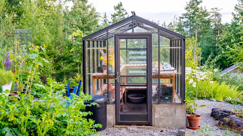 a backyard greenhouse 