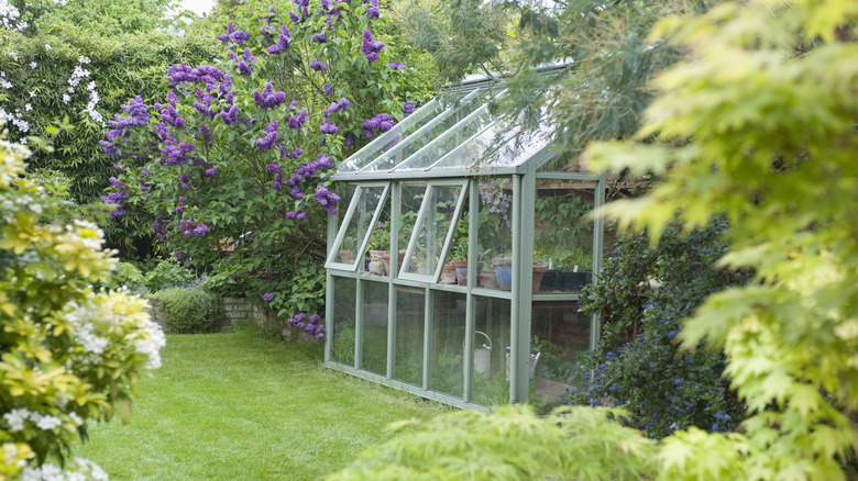 sage green greenhouse 