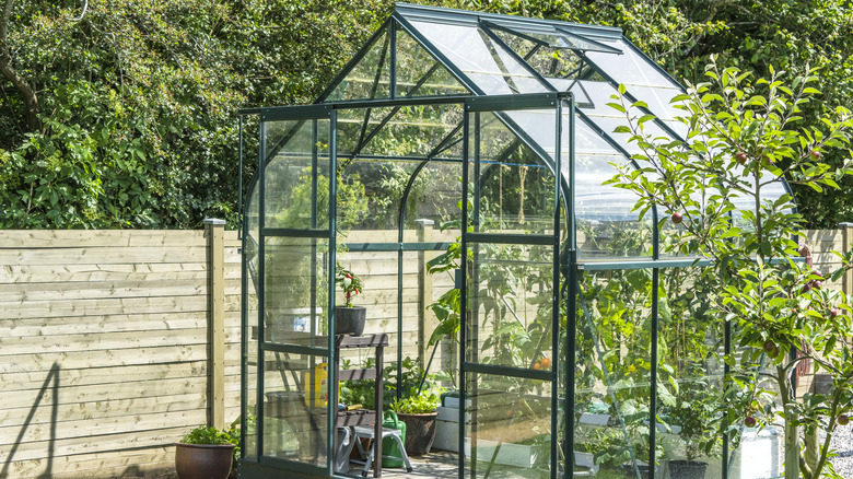 beautiful greenhouse 