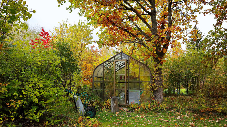greenhouse in field