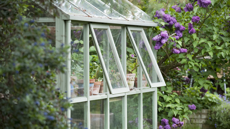 greenhouse surrounded by blooms