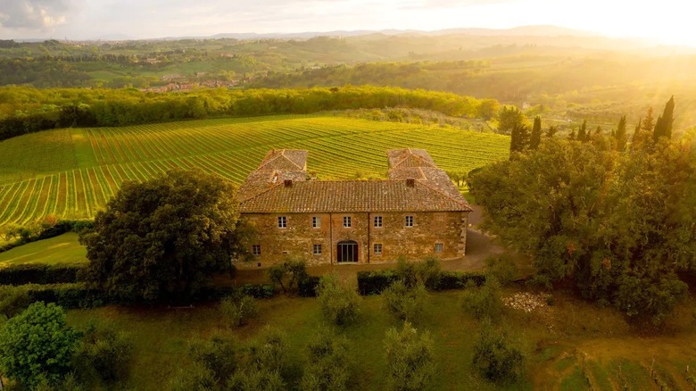 mansion with a cypress grove