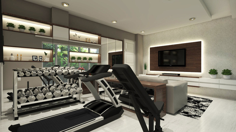 fancy home gym 