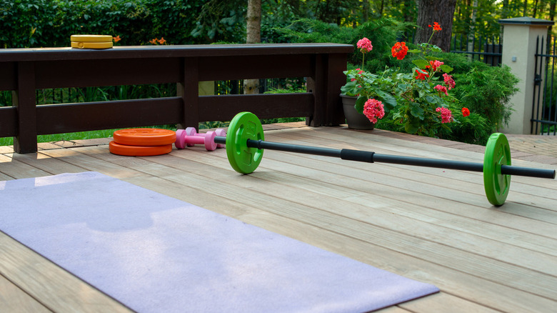 outdoor home gym 