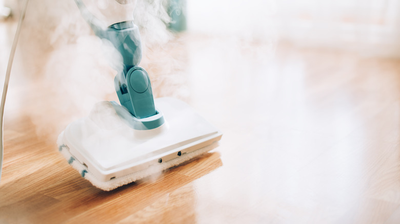 steam mop