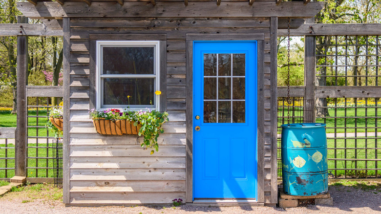 shed with blue door 