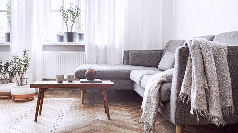 Gray living room with sheer curtains