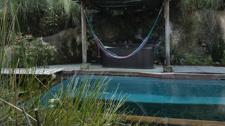 small pool with plants