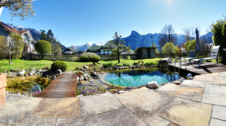 small pool with a pond