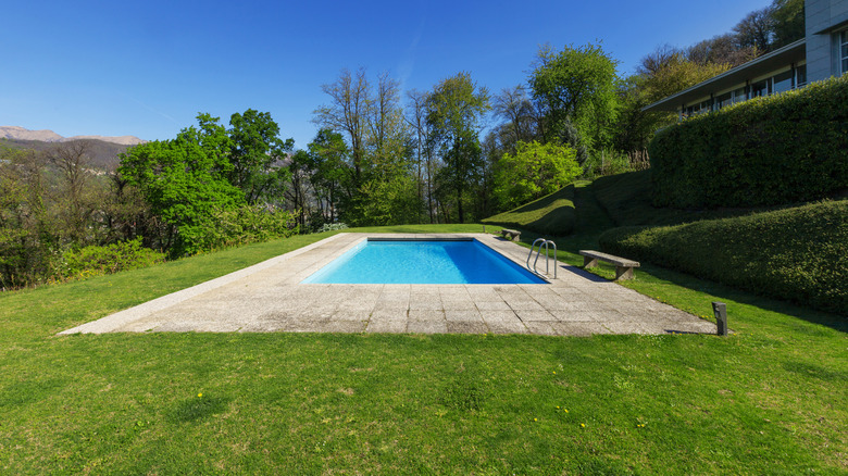 small pool in large yard