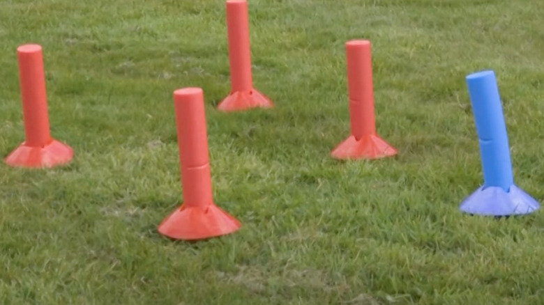 pool noodle ring toss game