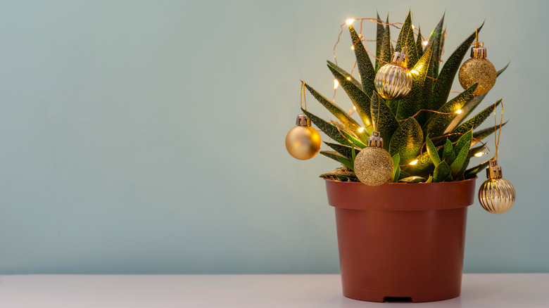 ornaments on potted succulent