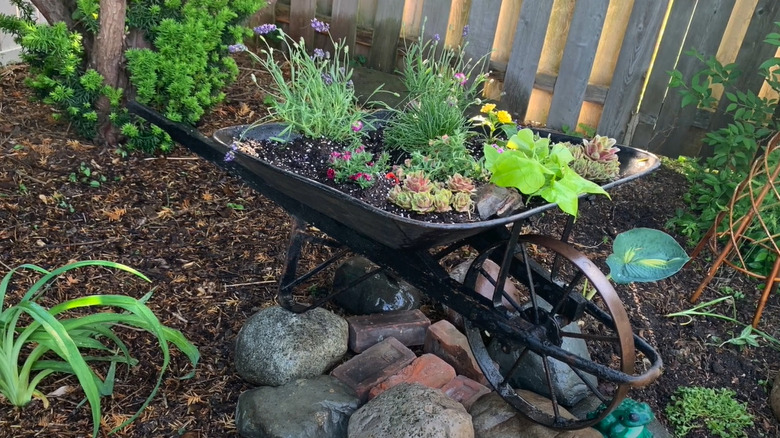 wheelbarrow garden