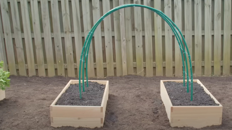curved pipes in planter boxes