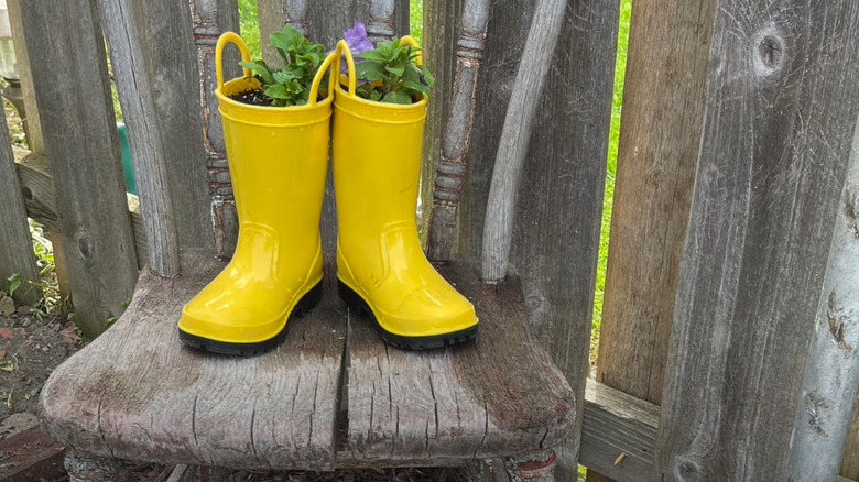 yellow wellies with plants