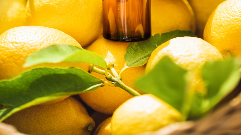 essential oil bottle with lemons