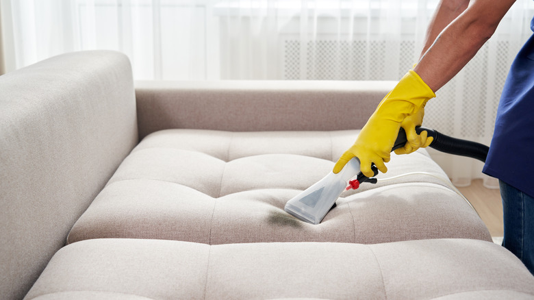 steam cleaning couch cushion