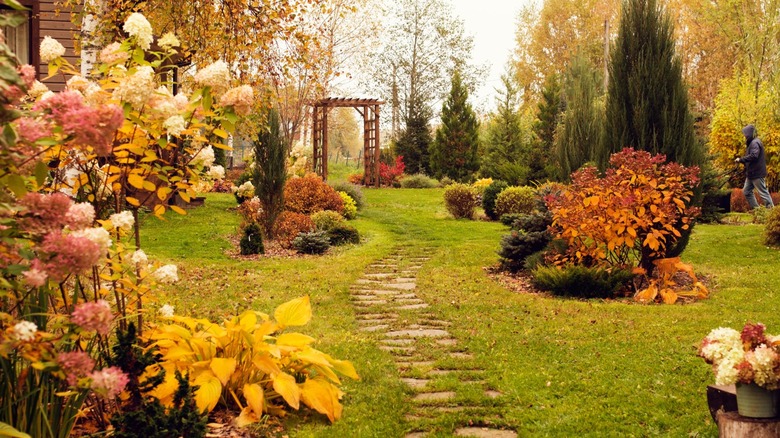 autumn garden path