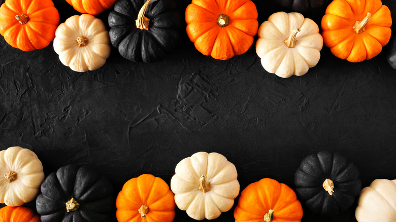 Colorful pumpkins on black background