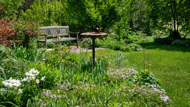 natural lawn space