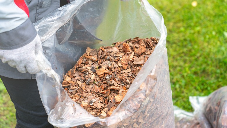 Mulch in a bag