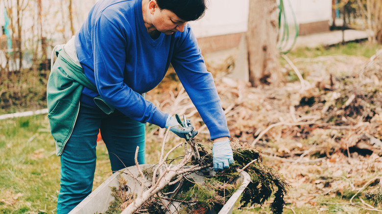 Person cleaning yard