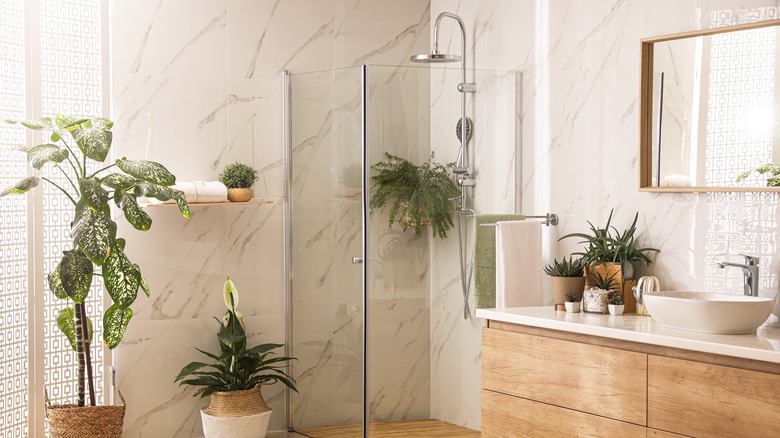 shower area with four plants 