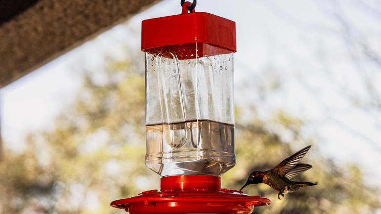 Hanging hummingbird feeder