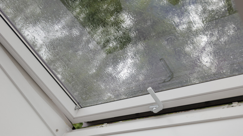 Skylight with water on top