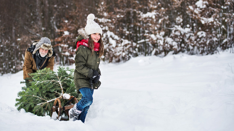 grandfather and granddaughter with tree