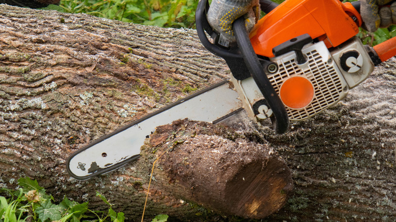 Person using a chainsaw on a downed tree limb