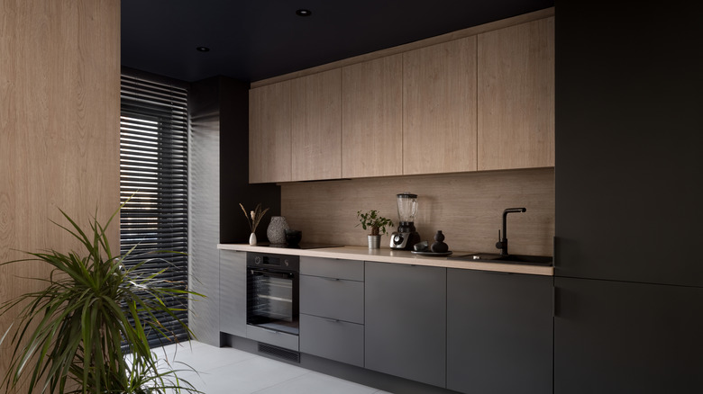 Modern-style kitchen with black ceiling and cabinets