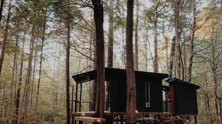 Elk California treehouse 