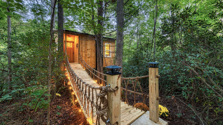 treehouse in North Carolina 