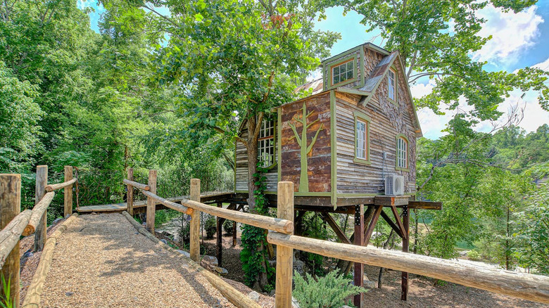 The Bostonian treehouse