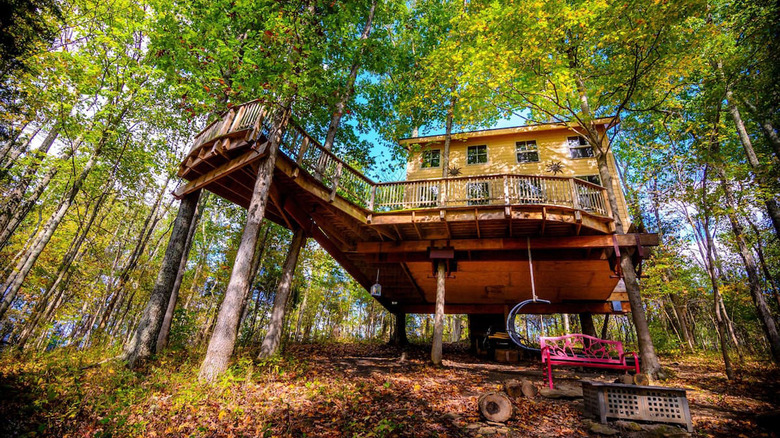 Germantown Kentucky treehouse 