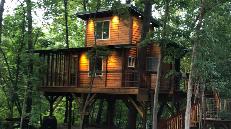 Graham's treehouse in Kansas 