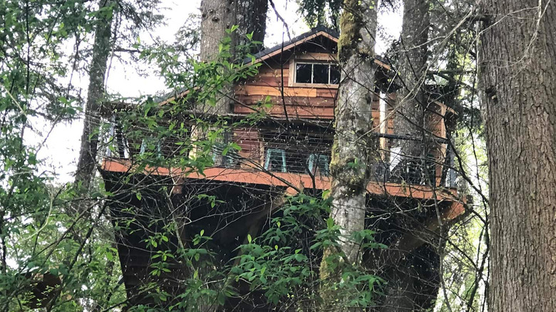 Izer Treehouse in Sandy Oregon 