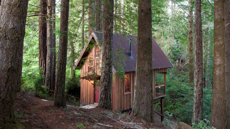 treehouse near village of Mendocino 