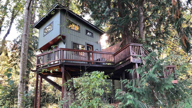 treehouse in the Pacific Northwest 
