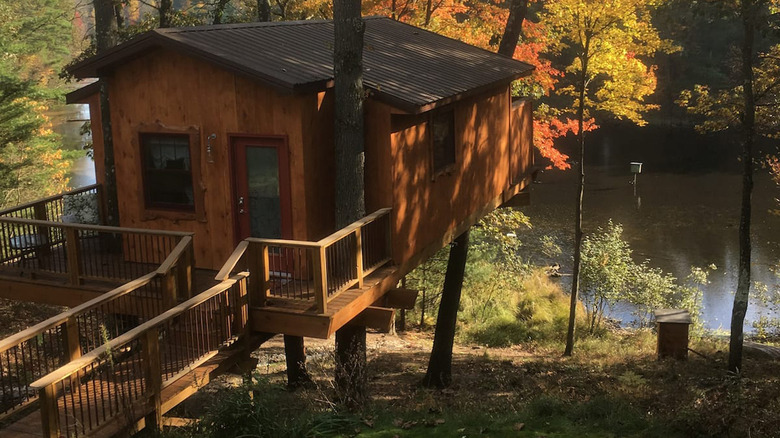 Whithall Michigan treehouse 