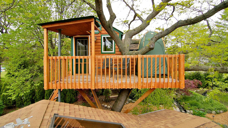 Suburban treehouse in Schaumburg