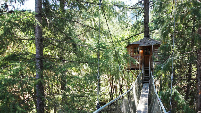 The Forestree Out 'n' About Treehouse in Oregon 