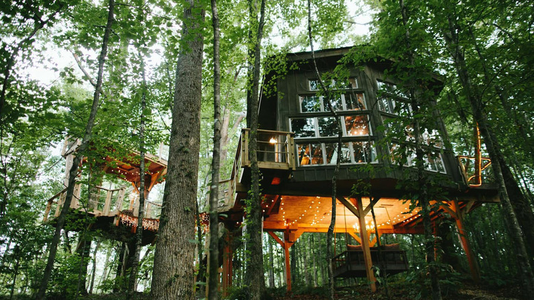 treehouse on Bolt Farm