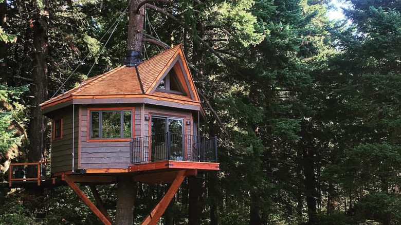 Osprey Treehouse in Stevenson Washington