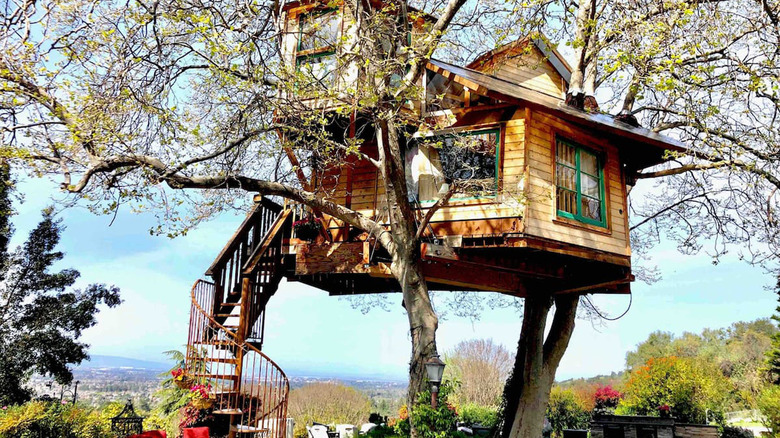 treehouse in San Jose 