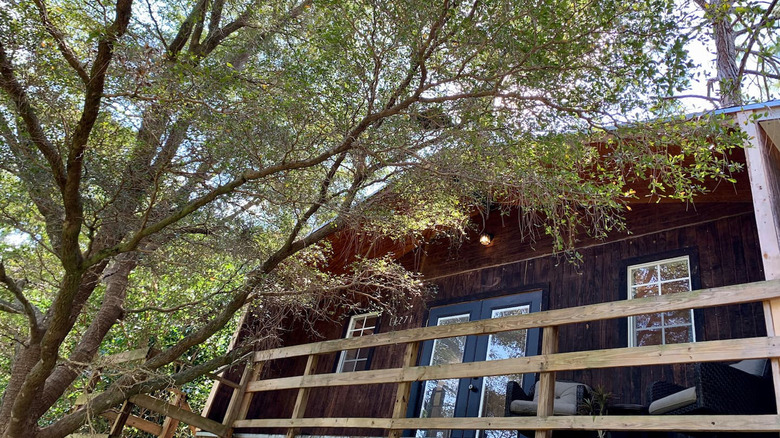 West Palm Beach treehouse 