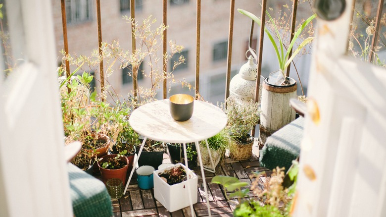 Balcony garden