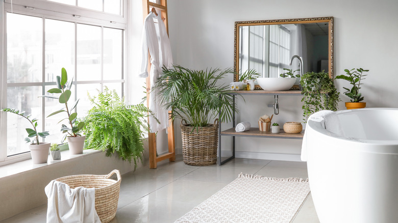 bathroom with large windows